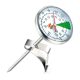 Motta Thermometer