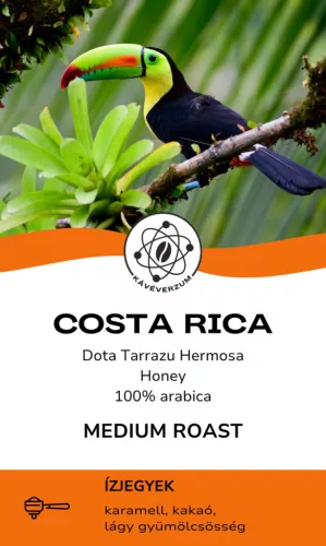 Costa Rica Dota Tarrazu Hermosa szemes kávé 250g