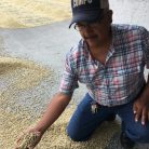 Guatemala Todosantarita szemes kávé 250g