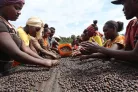 R COFFEE Ethiopia Yirgacheffe Idido szemes kávé 250g (espresso)