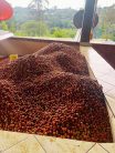 R COFFEE Colombia San Gabriel- Washed specialty szemes kávé250g (filter)