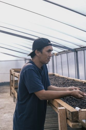 R COFFEE Sumatra Pegasing specialty szemes kávé (espresso)