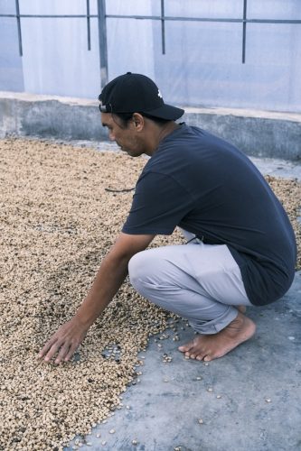 R COFFEE Sumatra Pegasing specialty szemes kávé (espresso)