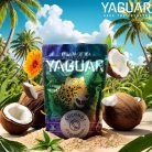 Yaguar Coconut Yerba Maté Tea 500g