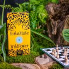 WildPower IQ yerba maté tea 400g