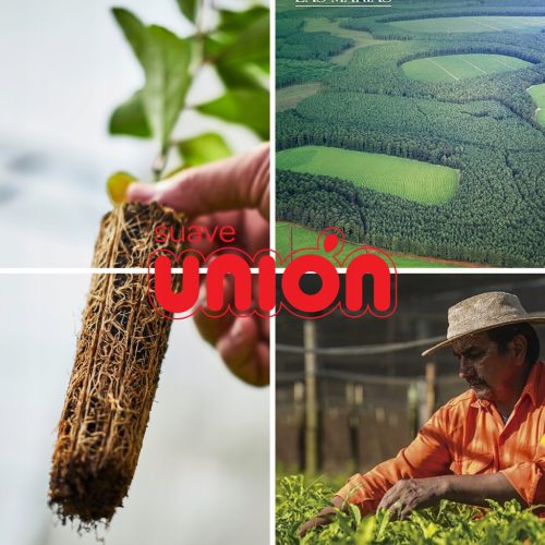 Unión Original Natúr Yerba Maté tea, 500g