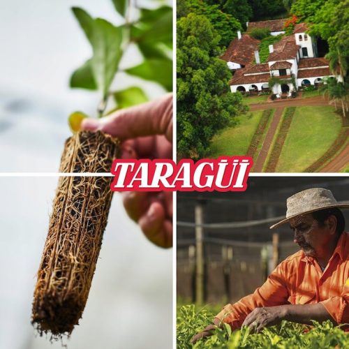Taragüi Maracuja Tropical Ízesített Yerba Maté tea, 500g