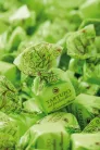 Antica Torroneria Trüffel pistacchio 125g