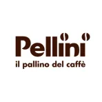 Pellini